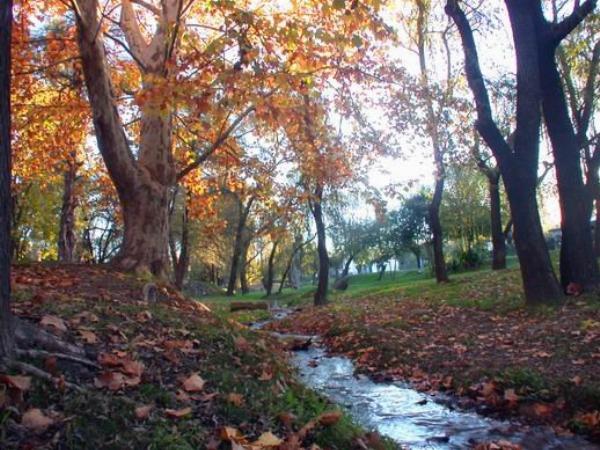 Photo of the campground Cerro Púrpura, Nono, Córdoba, Argentina